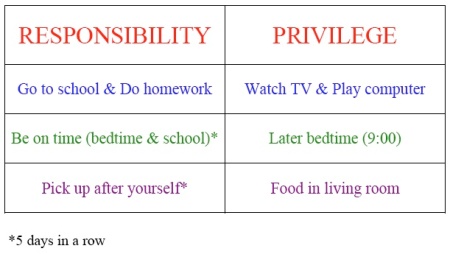 responsibilities1